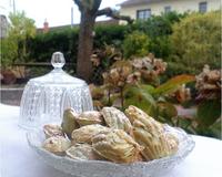 De bonnes madeleines pour tous, pas seulement pour Proust.