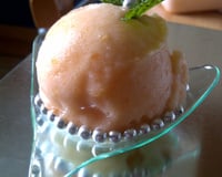 Sorbet au melon