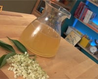 Sirop de fleur de sureau