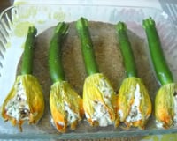 Fleurs de courgette farcies
