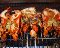 Homard grillé