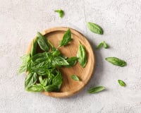 Basilic illimité : la technique pour en avoir tout l’été sans semis