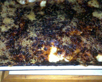 Le gratin à ma façon, un délice pour toute la famille.