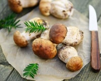 L'erreur que tout le monde fait en nettoyant les champignons détruit totalement leur saveur