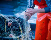 La France : un bon élève en matière de pêche durable ?