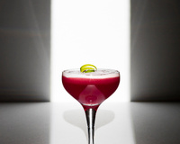 Virgin Lady coco in red