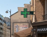 Canicule : ces aliments qui vous aident à mieux supporter la chaleur
