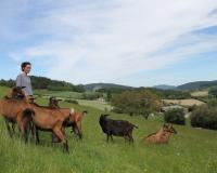 Les “Coups de pousse” de 750g pour les fromages fermiers d’Alexandra en Haut-Beaujolais