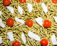 Salade de pâtes au pesto, jambon cru et mozzarella