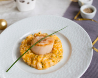 Risotto crémeux de potiron et Ortolan, noix de Saint-Jacques poêlées à l'huile de noisette