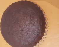 Gâteau au yaourt et au cacao en poudre