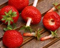 Comment équeuter des fraises sans en perdre la moitié