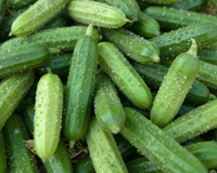 Comment préparer des cornichons ?