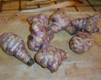 Lapin cuisiné en cocotte au four avec des topinambours, un légume à redécouvrir