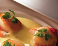 Velouté de poisson et Coquilles Saint Jacques