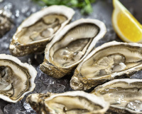 Comment conserver les huîtres ?