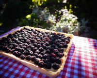 Tarte aux mûres et à la crème pâtissière