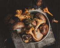 Ce champignon est toxique s’il est mal cuisiné et vous ne le savez probablement pas