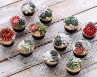 Vous allez fondre devant ces adorables terrarium cakes