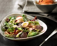 Salade de gésiers de canard confits lafitte et pomme fraîche
