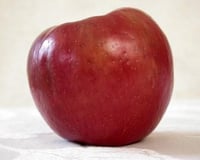 Salade de pommes facile