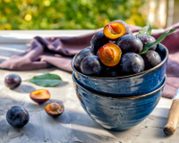 Comment bien congeler les prunes pour profiter de leur saveur estivale tout au long de l'année ?