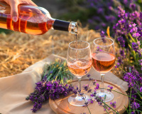 L’astuce magique avec un simple torchon pour refroidir une bouteille de rosé de dernière minute