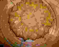 Gâteau aux carottes, raisins et noisettes