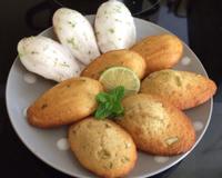 Madeleine revisitée à la façon du très apprécié cocktail cubain.
Menthe, citron vert,cassonade et (rhum pour les inconditionnels) viennent twister la recette de notre…