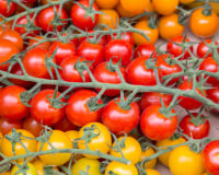 Salmonelle : des tomates cerises suspectées dans une épidémie internationale