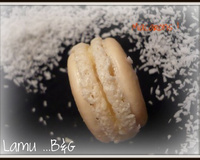 Macarons chocolat blanc et noix de coco