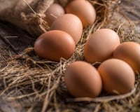 Par quoi remplacer les œufs ? Le conseil de Laurent Mariotte pour faire le plein de protéines facilement