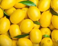 Voici pourquoi vous devriez toujours garder vos citrons au frais !