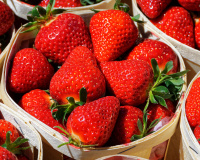 Vos fraises moisissent rapidement ? Voici comment retarder le phénomène avec ces astuces