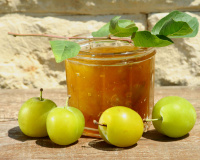 Confiture de reine-claude : comment réussir cette recette incontournable du mois d’août ?