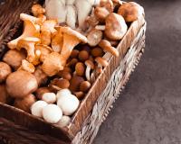 Cette erreur à ne plus faire en nettoyant ses champignons