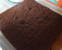 Brownies au chocolat et à la noix de coco