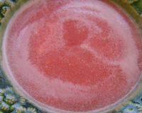 Soupe froide de melon et pasteque