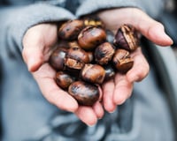 Oubliez les marrons chauds difficiles à éplucher : l'astuce magique au micro-ondes pour les peler en 30 secondes chrono