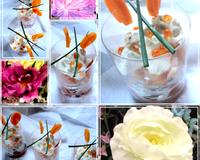 Verrine pour l'apéritif.