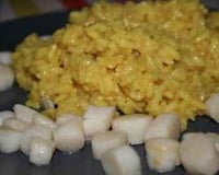 Risotto aux épices et aux pétoncles