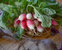 C'est quoi les fruits et les légumes de saison en mai ?