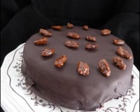Gâteau truffé au chocolat ou gâteau comme une truffe