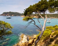 Les 8 spécialités à absolument déguster lors d'un séjour dans le Var