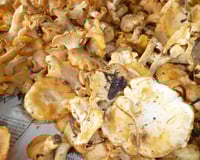 Crumble de citrouille