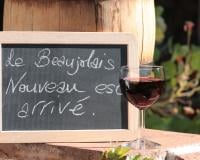 Beaujolais Nouveau : pourquoi on le fête le troisième jeudi de novembre ?