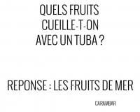 Blague - Fruits