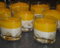 Panna cotta aux spéculoos et son coulis de mangue