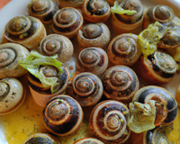 Croûte aux escargots