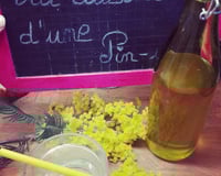 Sirop de mimosa